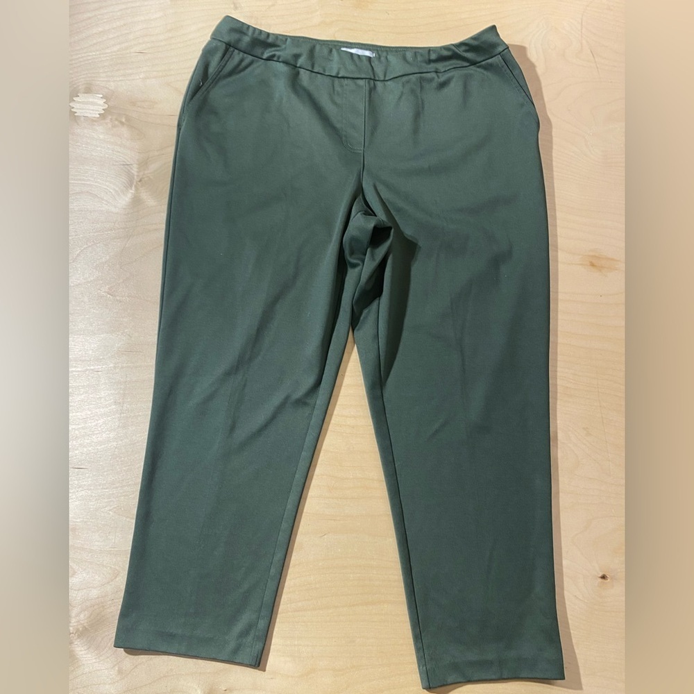 Southern Lady Stylish Green Pants 16 P (MZ)